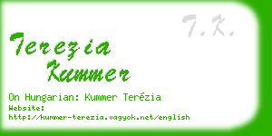 terezia kummer business card